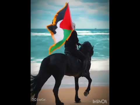 اكتبو بلدكم في التعليقات