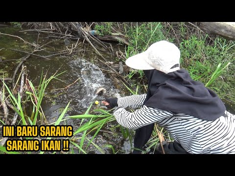 INI TEMPAT MANCING YG SANGAT POTENSIAL!! UMPAN JATUH LANGSUNG DI SAMBARR