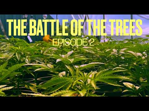 BLEEZY'S EARLY JUMP - The "Battle Of The Trees" S2 Ep2