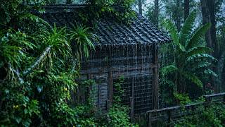 Fall Asleep NATURALLY with Heavy Rain Sounds (NO ADS)🌧️ Heal Insomnia, Deep Sleep & Relaxation