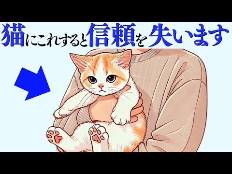 猫の動画サムネイル - 【猫からの信頼を失う飼い主の行動】 猫の雑学 #猫 #ねこ