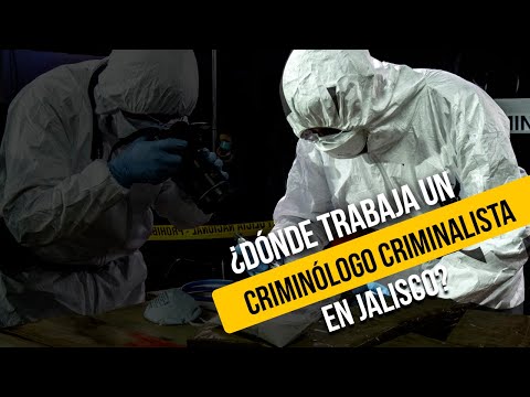 Donde trabaja un Criminólogo Criminalista