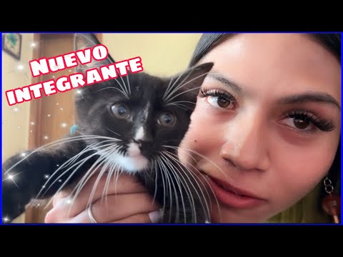 LIMPIANDOCON / Selena Reyez 🥑