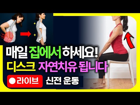 허리디스크에 좋은 운동 찢어진 디스크도 이렇게 하면 자연치유됩니다. [서울대학교 정선근 교수, 요추전만 자세, 맥켄지 신전운동, 허리강화, 허리통증,요통,허리스트레칭]