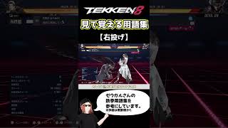 【鉄拳8】見て覚える用語集【右投げ】