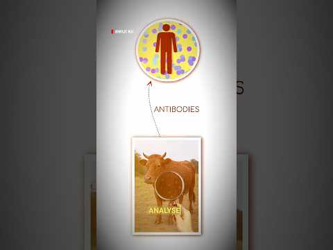 What's REALLY Behind Indian Parents' Mysterious Vaccine Marks