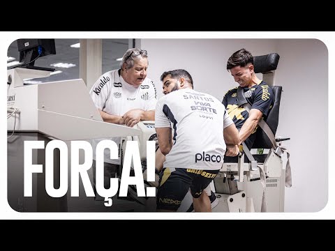 image para ilustrar o artigo