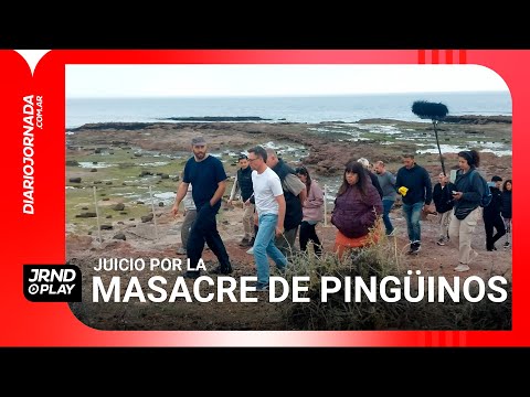 ▶ INFORME | Juicio por la *Masacre de Pingüinos* 🐧 - Chubut
