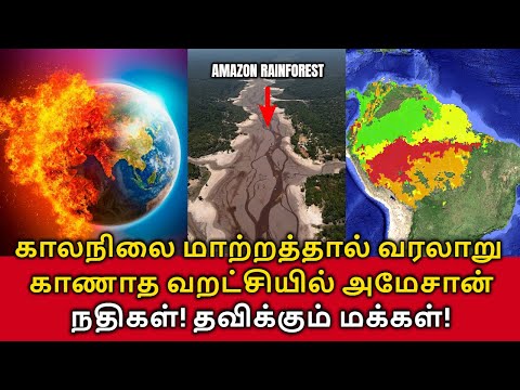 🌲Amazon River Drought! காலநிலை மாற்றத்தால் வரலாறு காணாத வறட்சியில் அமேசான் நதிகள்! தவிக்கும் மக்கள்!