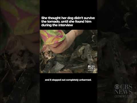 2013 Oklahoma: Elderly Woman Finds her Missing Dog During Interview