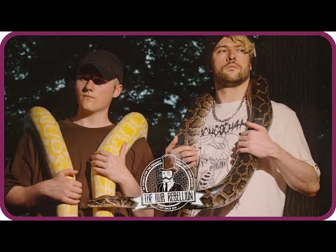 Virtual Riot & Viperactive - What U Got
