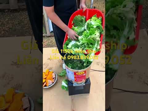 Máy xay thức ăn cho gà vịt #maytronthucanchannuoi #channuoi #farming #maynghiencam #agriculture