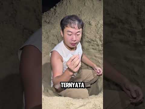Susah Bertahan hidup di Laut