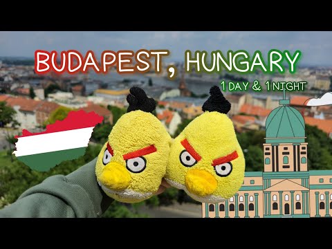 Yellow Bird Family Vlog In EASTERN EUROPE (Day 1: Hungary 🇭🇺)