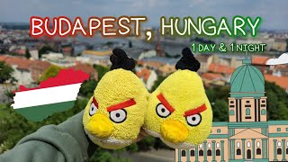 Yellow Bird Family Vlog In EASTERN EUROPE (Day 1: Hungary 🇭🇺)
