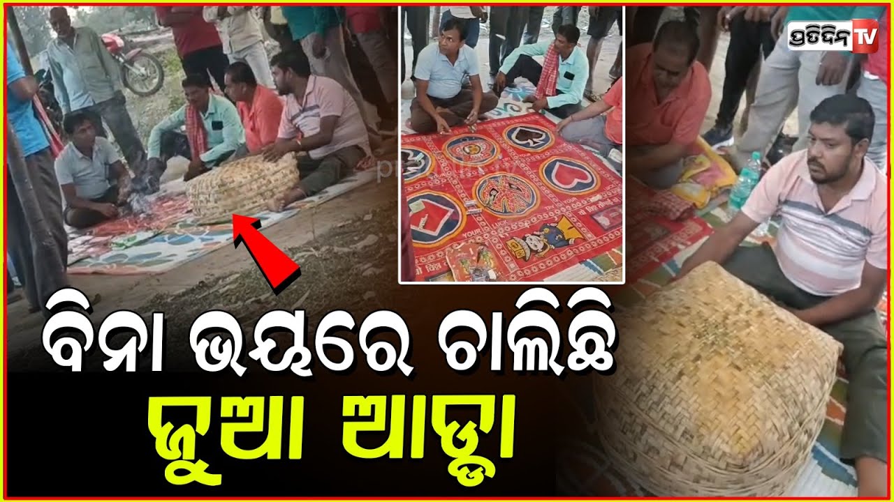 ଟଙ୍କା ଉପରେ ନାକ ରୋଗୁଡୁ ଛନ୍ତି ଜୁଆ ମାଫିଆ, କାଲିମେଳା ବ୍ଲକ MV79 ରେ ଆଇନକୁ ଉଲଙ୍ଘନ! gambling den, Malkangiri.