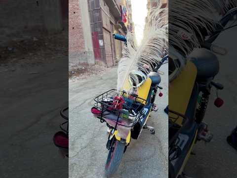 الاسكوتر السحري خفا أصحابي 🧙🪄