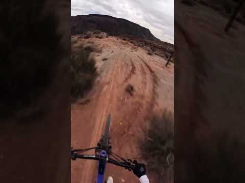 Would You Rose Down This Trail? 😅