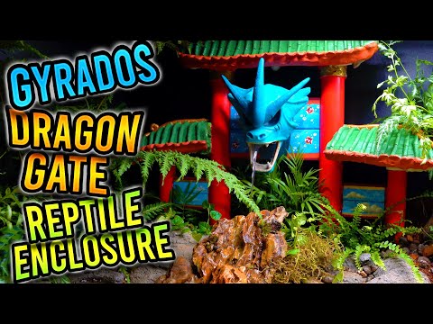 Gyrados Dragon Gate Reptile Enclosure! | 2024 Snake Discovery Build-off