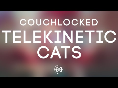 CouchLocked - Telekinetic Cats