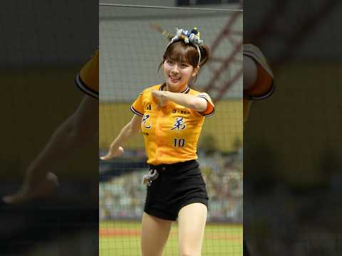 《 進化 B EVOLUTION 》維尼 Passion Sisters #台湾チア 臺中洲際棒球場 2025/10/5【台湾チアTV】