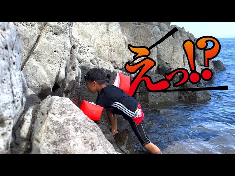 京都遠征！見たことない生き物にビックリ仰天！！！