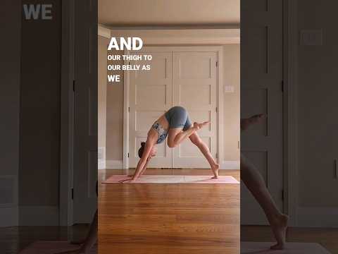 Stepping from Downdog to Lunge
