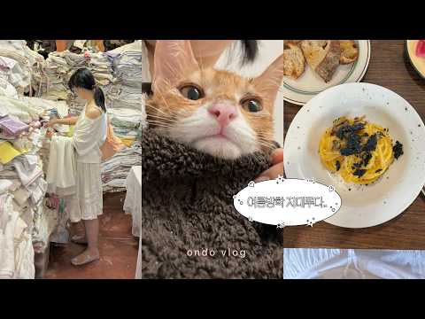 🐱카페 대청소,<strong>동묘</strong> 빈티지 쇼핑,혼자 파스타 먹으러 간 일상