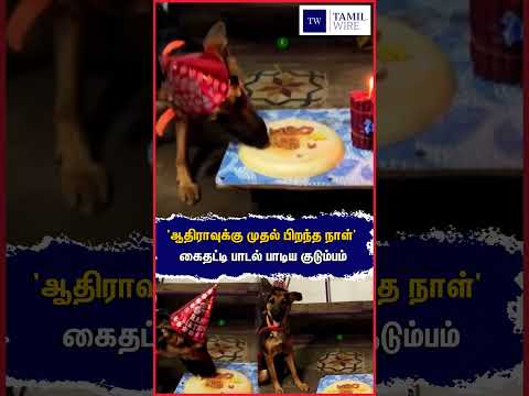 'ஆதிராவுக்கு முதல் பிறந்த நாள்' கைதட்டி பாடல் பாடிய குடும்பம் #Dogs #<strong>Dog</strong> #doglife #Birthday #<strong>viral</strong>