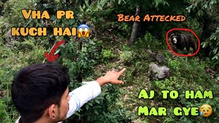 Bear attacked us in dangerous jungle😈| भयानक मौत का सामना💀|#adventure #bears#viralvideo #youtube