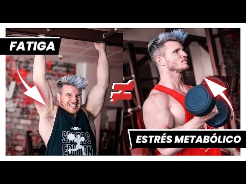 🔴 HIPERTROFIA MUSCULAR ¡No confundas estos términos! 🔴