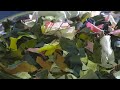 Reciclaje de Residuos Textiles en Europa