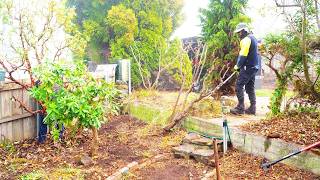 The Neighbour was SHOCKED when we Cleared this Overgrown Disaster!