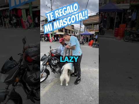 Parte 1: TE REGALO MI MASCOTA!!?β€οΈ #shorts #humor #ayudasocial