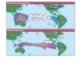 Understanding Local Winds and Weather Patterns