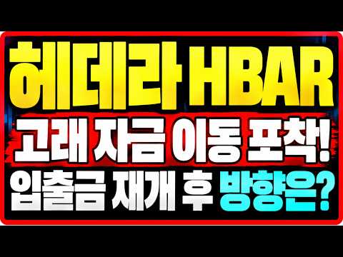 [헤데라] <strong>네트워크</strong> 업그레이드 이후 대규모 자금은 어디로?
