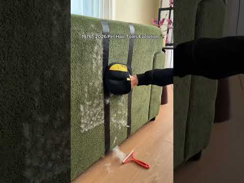 1976 ~ 2026:Pet Hair Tools Evolution #cleaning