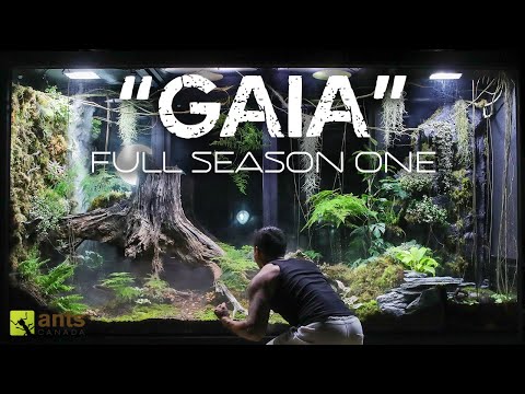 The Ecosystem Vivarium Series | "GAIA" Full Season One Compilation