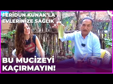 Sinek ve Arılarda Korudan Muhteşem Tarif | Dr. Feridun Kunak’la Evlerinize Sağlık