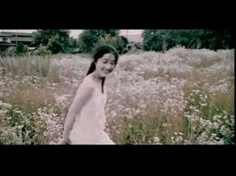 Jay Chou - Common Jasmin Orange (七里香)