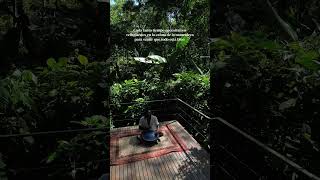 Estar en la selva de Costa Rica se siente así