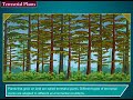 Aquatic and Terrestrial Plants Concepts