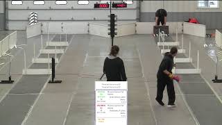 2025 Iowa Heartland Spring Fling - Hawkeye Hustlers Hosted Flyball Event in Amana, Iowa Sunday