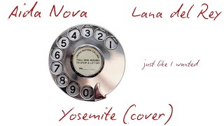 Lana del Rey Yosemite Cover
