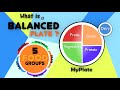 Exploring the Food Pyramid and Balanced Diet for Kids