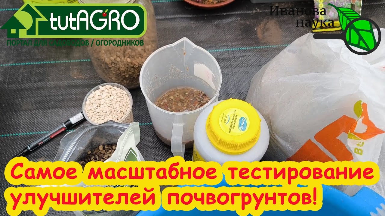 Дорогие и бесплатные! Тестируем улучшители почвы: опилки, цеолит/цион, цимус, песок. Что лучше.