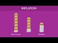 Exploring the Impact of Inflation on the Economy