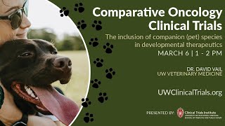 Comparative Oncology Clinical Trials