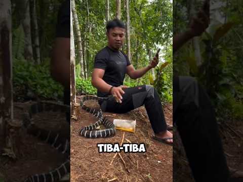 seekor ular tiba tiba menggigit tangannya#shorts #trendingshorts