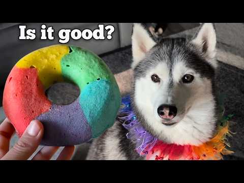 DIY Rainbow Donut Dog Treats! 🍩🌈 Siberian Huskies Bake & Taste Test!